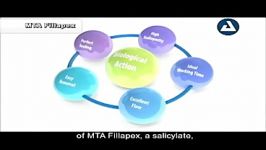 Angelus MTA Fillapex سیلر کانال ریشه بیس MTA