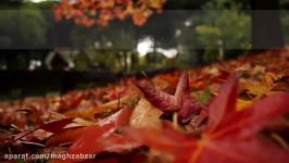 پروژه افترافکت گالری عکس پاییزی Photo Gallery On An Autumn Afternoon