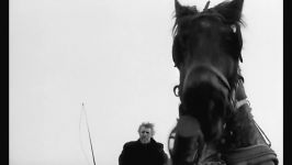 The Turin Horse  By Bela Tarr