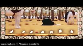 مرثیه صابر خراسانی در وصف حضرت مسلم این عقیل ع