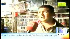 بازار پرندگان کراچی پاکستان
