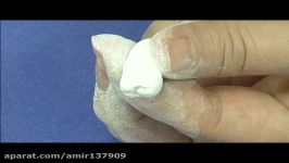 mandibular second premolar part 3