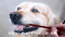 نقاشی بی نظیر سگ مداد شمعی  Bazeh.com