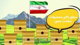 صندوق حمایت توسعه صنعت زنبورداری کشور