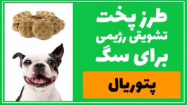 طرز تهیه تشویقی سگ غذای تشویقی خانگی سگ 