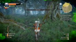 Woodland spirit witcher 3 Contract