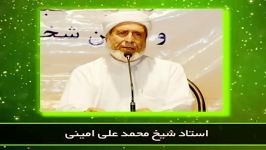 شیخ محمد علی امینی درس گرفتن سیرت