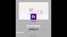 آموزش اسلوموشن کردن فیلم در پریمیر