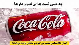 اصول متقاعدسازی حرفه ای