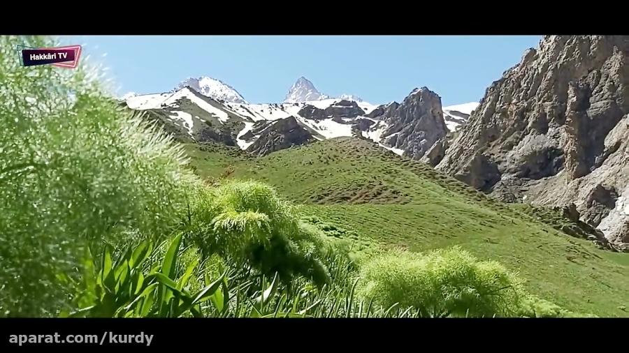 آهنگ کردی شاد Çiçekê  Dîsa Bihare Stranên Kurdî 