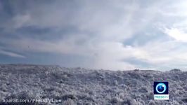 Snow storms blanket Argentinas Patagonia