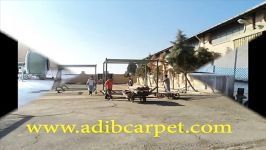 adib carpet washing factory