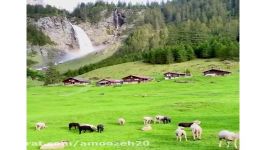 ترانه زیبای شۆرێ گیان ماڵم شۆرێ استاد علی زندی ـ تصاویر فوق لعاده زیبا