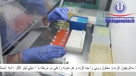 خلاصه ای آموزش تکنیک های استخراج RNA، سنتز cDNA Real time PCR در هيستوژنوتك