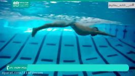 آموزش شنا  شنا حرفه ای  یادگیری شنا تکنیک های شنا پروانه 02128423118