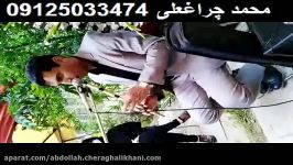 اجرای مدیحه سرایی بهشت زهرا عالی