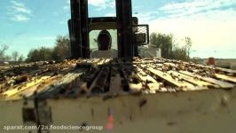 Sue Bee Honey Harvest Video