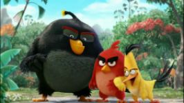 پرندگان خشمگین در دنیای واقعی انیمیشن پرندگان خشمگین