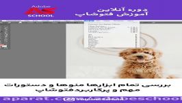 سرفصلهای دوره آنلاین آموزش فتوشاپ مدرسه ادوبی