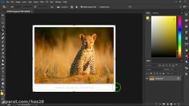 مدرس فتوشاپ  آموزش ابزار Crop Tool قسمت اول