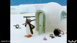 پینگو  Pingu Gets a Warning