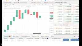 dssminer.com cloudmining and automated trader BOT Bitcoin Crash After BTC hits