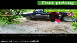 کلی جمله راجع به چیدن میوه