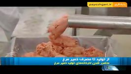 ممنوعیت استفاده خمیر مرغ در فرآورده های غذایی