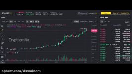 dssminer.com cloudmining and automated trader BOT Stop Bitcoin Trading   Bitc