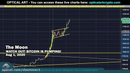 dssminer.com cloudmining and automated trader BOT URGENT Bitcoin Crash expl