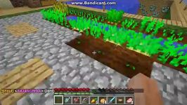 avalin play APN GROUP Minecraft