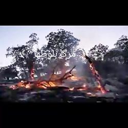 آتش سوزی جنگل های بلوط در ایلام عروس زاگرس