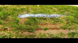 تیزر تبلیغاتی بزرگ ترین جشنواره توت کشور در شهر علویجه