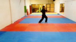 کاتای دماوند پرفکت کاراته 
