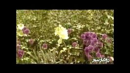 موسیقی بهار کرمانجی رستم رستمی پور رودبار