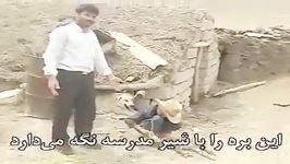 معرفت کودک عشایری احترامش به خلقت حقوق حیوانات