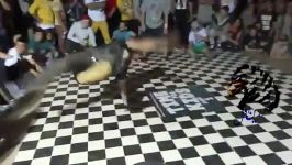 Bboy ThunderLegZzZ ARMENIA vs Bboy DNA IRAN