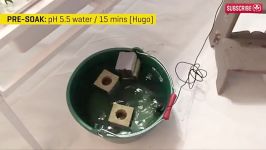 Rockwool Hydroponics Propagation