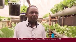 Hydroponics Revolutionize Farming in Kenya