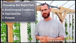 Best Fish for Aquaponics