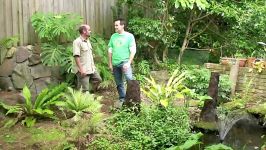 How to create an aquaponic pond system