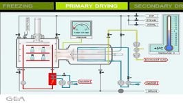 Pharmaceutical Freeze Drying Process