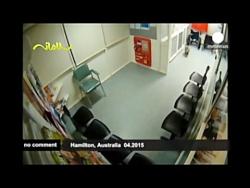 بازدید سرزده یک کوالا بیمارستانی در استرالیا