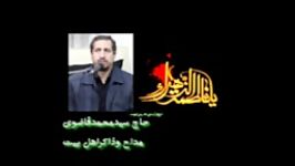 کیست زهراانکه عالم درمزارش گم شوداقای قاضوی