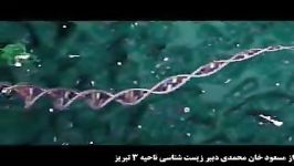 DNA اطلاعات خود راچگونه منتقل میکند