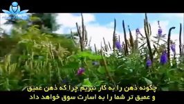 آلن واتس  خود را آزاد کنید