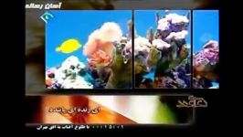 دعای عهد ترجمه فارسی صدای استاد فرهمند