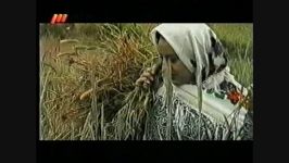 مصاحبه شبکه3 محمدرضا طاهری  بخش1