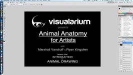 Uartsy  Animal Anatomy