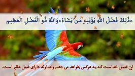 آیاتی سوره الحدید